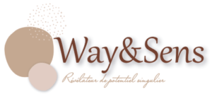 Logo Way&Sens